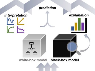 Exploring Open Access Security Datasets for Machine Learning: Model Training and Explainability Techniques