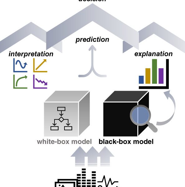 Exploring Open Access Security Datasets for Machine Learning: Model Training and Explainability Techniques